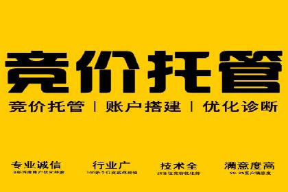 案例分享：竞价托管助力电商广告投放